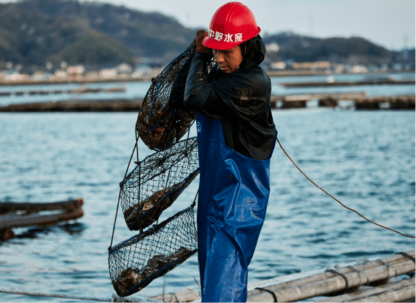 画像：中野水産イメージ